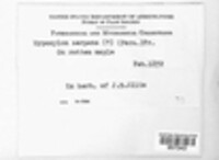 Image Associated With the Occurence